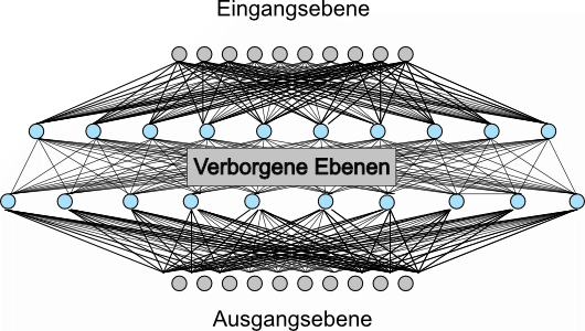 Aufbau eines neuronalen Netzes