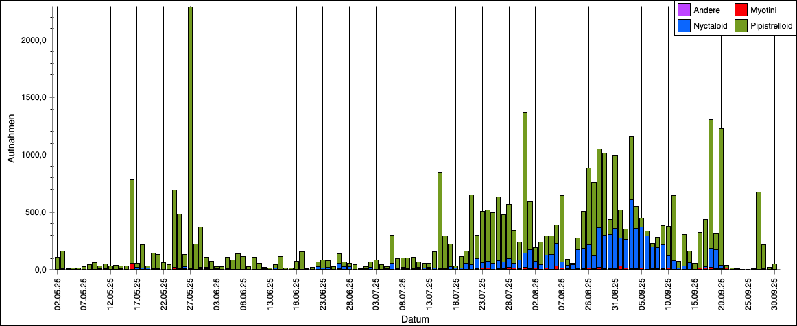 Grafik Aktivitätsverteilung im Jahr