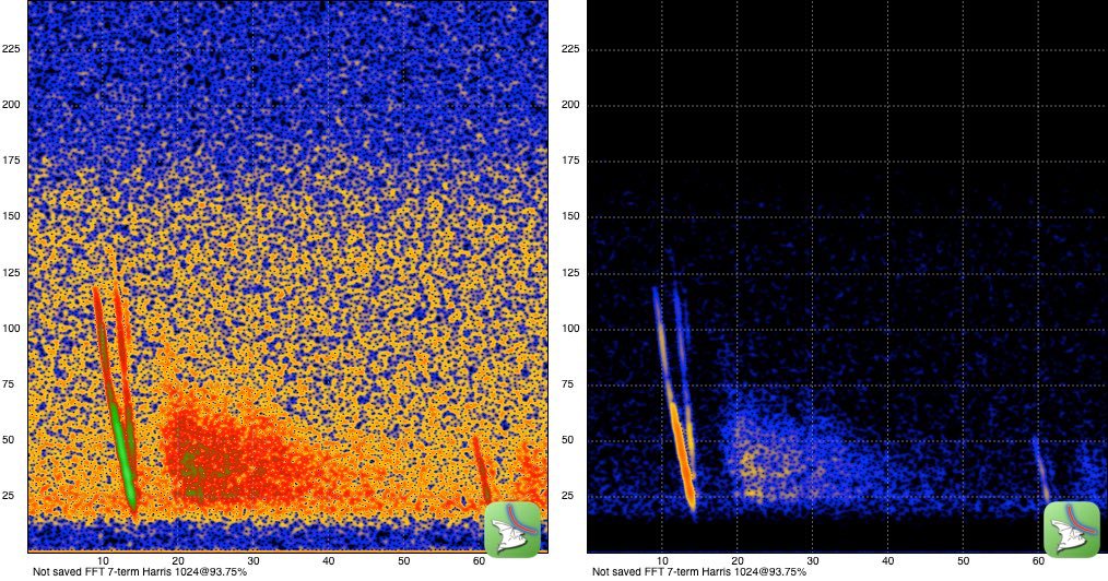 Zwei Sonagramme identischer Tondaten mit verschiedenen Einstellungen