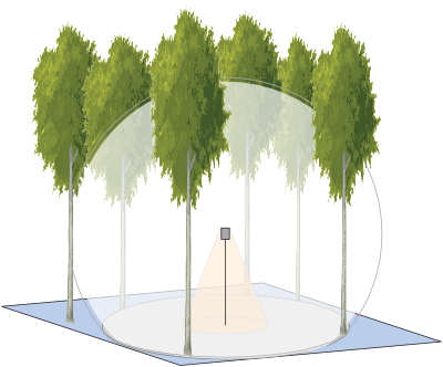 batcorder 3.1 im Wald als Schema